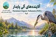 آشنایی با آلاینده‌های آلی پایدار و پیامدهای آن برای سلامت و محیط زیست