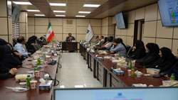 توسعه طرح منتورینگ و ارتقای خدمات سلامت روان فراگیران در بیمارستان‌ها، از اولویت‌های دانشگاه علوم پزشکی تهران  است
