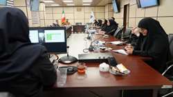 بازتعریف معیارهای همسرگزینی در عصر دیجیتال