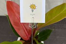 برگزاری کارگاه مهارت زندگی با موضوع «حال خوب» در دانشگاه علوم پزشکی تهران 