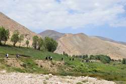 برگزاری اردوی کوهگشت ویژه کارکنان و اعضای هیئت علمی بیمارستان یاس 