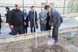 کاشت نهال به یاد شهدای مدافع سلامت در مجتمع خوابگاه های کوی دانشگاه علوم پزشکی تهران