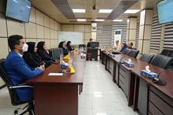 کارگاه تخصصی نقش ساختارهای فرهنگی و اجتماعی در تغییر الگوهای فرزندآوری