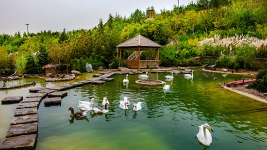 امکان بازدید دانشجویان دانشگاه علوم پزشکی تهران از باغ پرندگان با تخفیف ویژه 