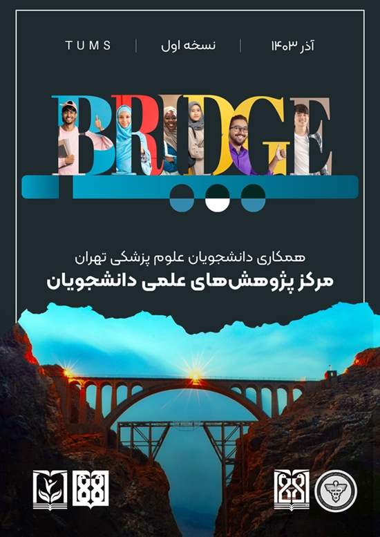نشریه پل Bridge 