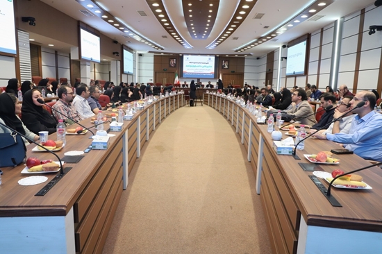 اساتید منتور دانشگاه 