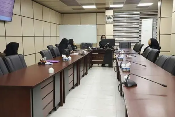 تبیین رویکردهای نوین بازگشت به کار پس از زایمان در کارگاه تخصصی